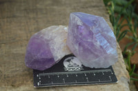 Natural Single Jacaranda Amethyst Crystals  x 12 From Mumbwe, Zambia - Toprock Gemstones and Minerals 