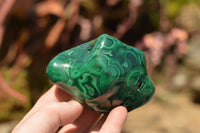 Polished Malachite Free Forms With Stunning Flower & Banding Patterns x 6 From Congo - TopRock