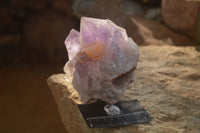 Natural Jacaranda Amethyst Clusters x 2 From Zambia