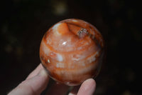 Polished Carnelian Agate Spheres  x 3 From Madagascar - Toprock Gemstones and Minerals 