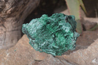 Natural Chatoyant Silky Malachite Specimens  x 2 From Kasompe, Congo