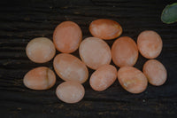 Polished Orange Twist Calcite Palm Stones  x 14 From Madagascar - Toprock Gemstones and Minerals 