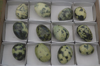 Polished Leopard stone Eggs x 12 From Zimbabwe - TopRock