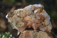 Natural Stunning Brandberg Quartz Matrix Specimens x 2 From Brandberg, Namibia