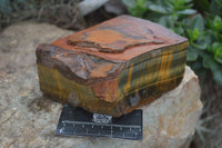 Natural Golden Blue Tigers Eye Specimens  x 2 From Prieska, South Africa - TopRock