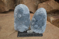 Polished Blue Celestite Standing Free Forms  x 2 From Sakoany, Madagascar - Toprock Gemstones and Minerals 