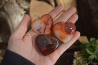 Polished Carnelian Agate Hearts  x 12 From Madagascar