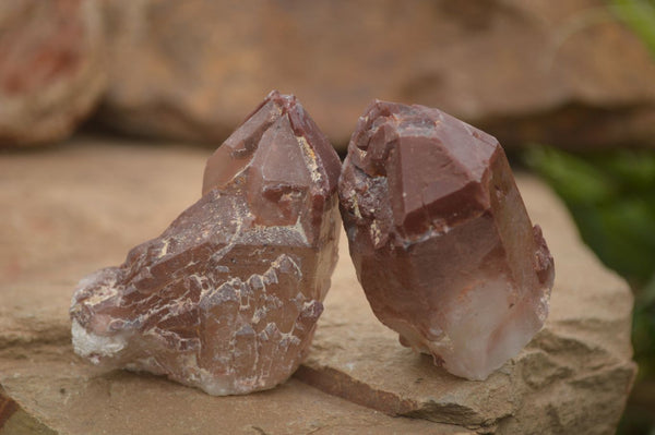 Natural Red Hematoid Quartz Specimens x 12 From Karoi, Zimbabwe - TopRock