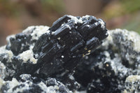 Natural Black Tourmaline Specimen x 1 From Erongo Mountains, Namibia - TopRock