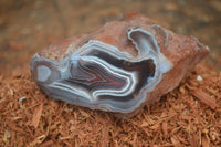 Polished Banded River Agate Nodules  x 6 From Sashe River, Zimbabwe - Toprock Gemstones and Minerals 