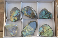 Polished Labradorite Standing Free Forms  x 6 From Madagascar