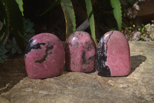 Polished Pink Rhodonite Standing Free Forms x 3 From Madagascar