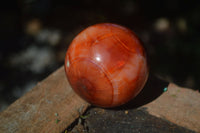 Polished Carnelian Agate Spheres  x 3 From Madagascar - Toprock Gemstones and Minerals 