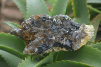 Natural Schorl Black Tourmaline & Smokey Quartz Specimens x 2 From Erongo Mountains, Namibia - TopRock