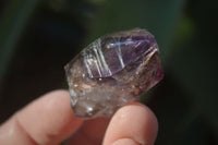 Natural Smokey Window Amethyst Crystals  x 12 From Chiredzi, Zimbabwe