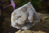 Natural Pale Lilac Spirit Quartz Clusters x 6 From Boekenhouthoek, South Africa