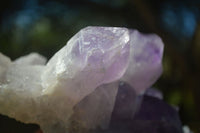 Natural Jacaranda Amethyst Clusters x 2 From Mumbwa, Zambia - TopRock