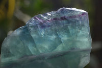 Polished Watermelon Fluorite Standing Slabs  x 6 From Uis, Namibia