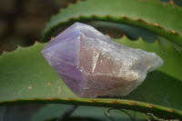 Natural Jacaranda Amethyst Clusters  x 6 From Mumbwa, Zambia - Toprock Gemstones and Minerals 