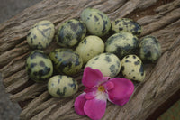 Polished Leopard stone Eggs x 12 From Zimbabwe - TopRock