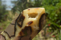 Polished Septaria (Yellow Calcite & Aragonite) Points x 2 From Mahajanga, Madagascar - TopRock