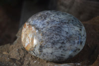 Polished Dendritic Opal Palm Stones  x 12 From Madagascar - Toprock Gemstones and Minerals 