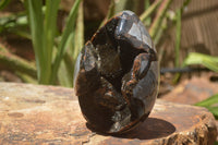 Polished Septaria Dragons Egg x 1 From Mahajanga, Madagascar - TopRock