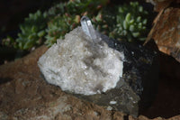 Natural Stunning Brandberg Quartz Matrix Specimens x 2 From Brandberg, Namibia