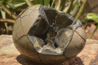 Polished Septerye Sauvage "Dragons Egg" x 1 From Mahajanga, Madagascar - TopRock