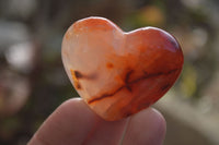 Polished Carnelian Agate Hearts  x 12 From Madagascar