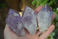 Natural Single Jacaranda Amethyst Crystals  x 12 From Mumbwe, Zambia - Toprock Gemstones and Minerals 