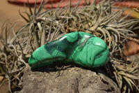 Polished Malachite Free Forms With Stunning Flower & Banding Patterns x 6 From Congo - TopRock