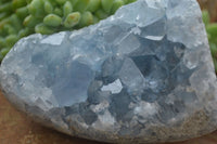 Polished Blue Celestite Standing Free Forms  x 2 From Sakoany, Madagascar - Toprock Gemstones and Minerals 