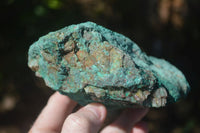 Natural Rough Chrysocolla Specimens  x 6 From Kaokoveld, Namibia - Toprock Gemstones and Minerals 