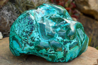 Polished Beautiful Extra Large Malacholla (Chrysocolla & Malachite) Free Form  x 1 From Congo - TopRock