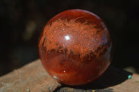 Polished Carnelian Agate Spheres  x 3 From Madagascar - Toprock Gemstones and Minerals 