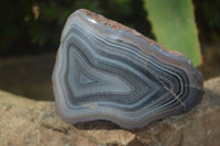 Polished Banded River Agate Nodules  x 6 From Sashe River, Zimbabwe - Toprock Gemstones and Minerals 