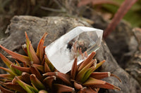 Polished Clear Quartz Crystal Points x 6 From Madagascar - TopRock