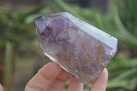 Polished Lovely Selection Of Window Amethyst Points  x 4 From Madagascar - Toprock Gemstones and Minerals 