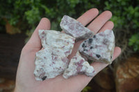 Polished Rough Rubellite Pink Tourmaline In Matrix Specimens  x 22 From Madagascar - Toprock Gemstones and Minerals 