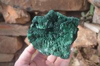 Natural Chatoyant Silky Malachite Specimens  x 2 From Kasompe, Congo