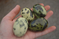 Polished Leopard stone Eggs x 12 From Zimbabwe - TopRock