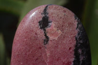 Polished Pink Rhodonite Standing Free Forms x 3 From Madagascar