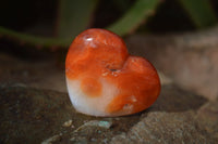 Polished Carnelian Agate Hearts  x 12 From Madagascar