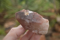 Natural Red Hematite Phantom Quartz Clusters  x 12 From Karoi, Zimbabwe - TopRock