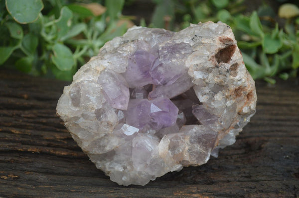 Natural Jacaranda Amethyst Cluster x 1 From Mumbwa, Zambia - TopRock