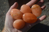 Polished Orange Twist Calcite Palm Stones  x 14 From Madagascar - Toprock Gemstones and Minerals 