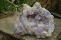 Natural Jacaranda Amethyst Cluster x 1 From Mumbwa, Zambia - TopRock