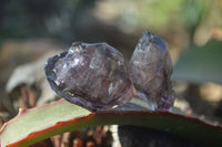 Natural Window Amethyst Quartz Crystals  x 12 From Chiredzi, Zimbabwe