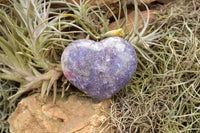 Polished Purple Lepidolite Mica Hearts  x 6 From Madagascar - TopRock